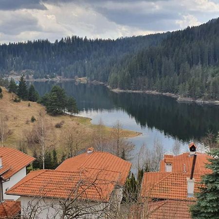 Вила Родопи Dospat Dış mekan fotoğraf